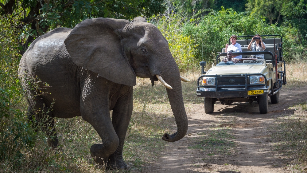 conservation-malawi-conservation-malawi-robin-pope-safaris