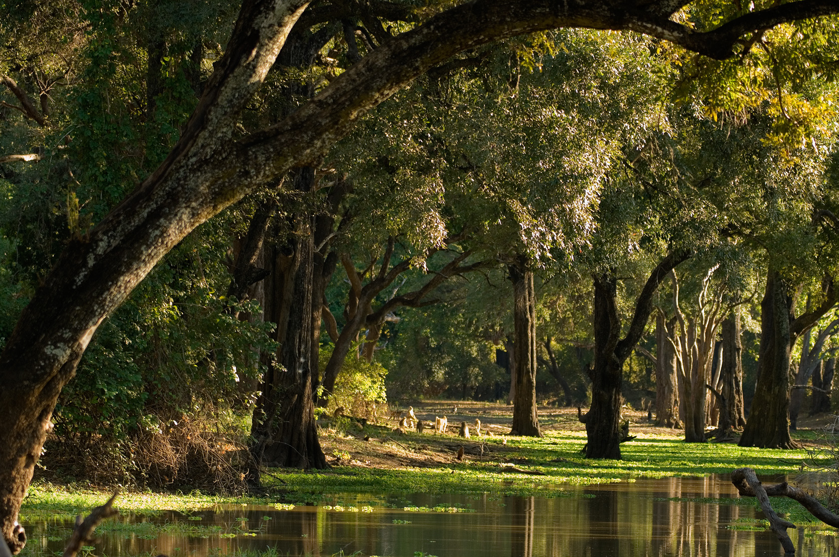 river-journeys-river-journeys-robin-pope-safaris