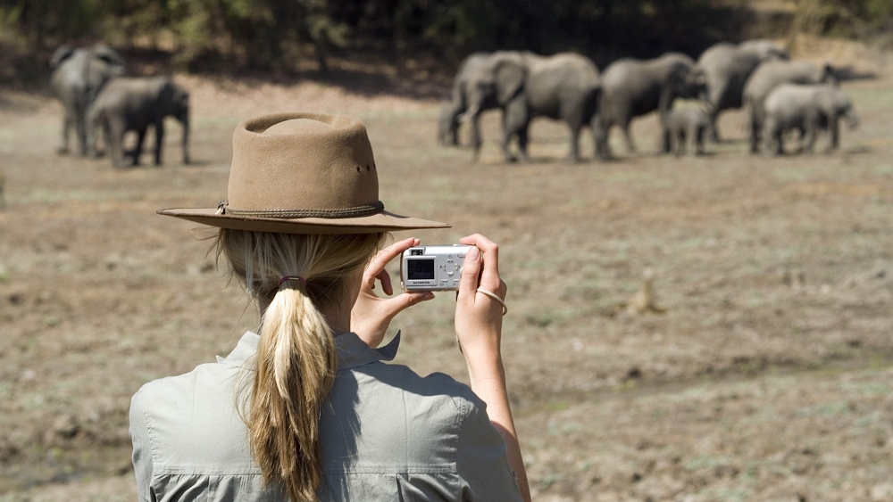 zambia-classic-safari-zambia-classic-safari-robin-pope-safaris
